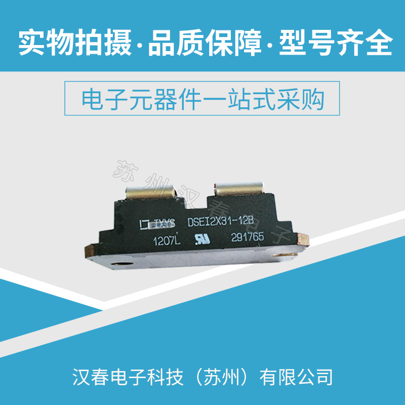 DSEI2X31-12B